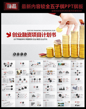 大氣商業(yè)策劃書創(chuàng)業(yè)計劃項目投資PPT模板