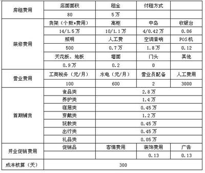 嬰童店開店投資計(jì)劃書（三） 投資策劃與實(shí)施方案